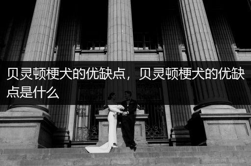 貝靈頓梗犬的優(yōu)缺點(diǎn)，貝靈頓梗犬的優(yōu)缺點(diǎn)是什么