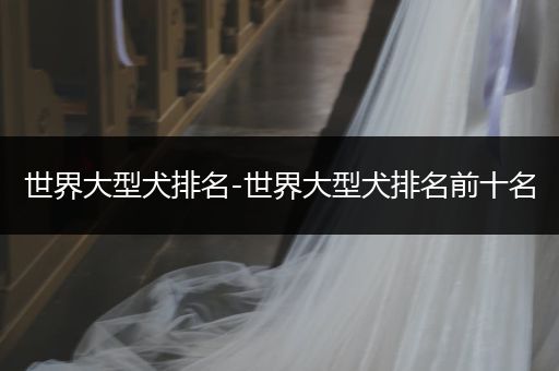 世界大型犬排名-世界大型犬排名前十名