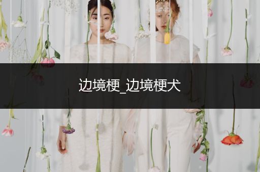 邊境梗_邊境梗犬