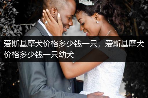 愛(ài)斯基摩犬價(jià)格多少錢(qián)一只，愛(ài)斯基摩犬價(jià)格多少錢(qián)一只幼犬