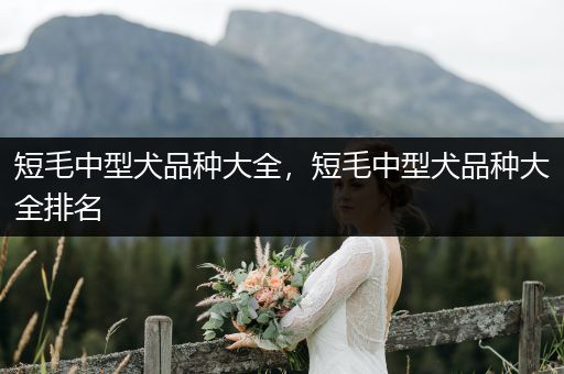 短毛中型犬品種大全，短毛中型犬品種大全排名