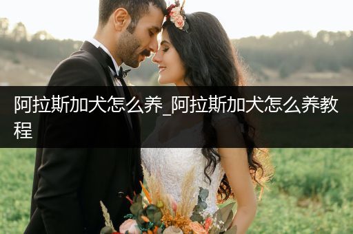 阿拉斯加犬怎么養(yǎng)_阿拉斯加犬怎么養(yǎng)教程