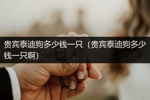 貴賓泰迪狗多少錢(qián)一只（貴賓泰迪狗多少錢(qián)一只啊）