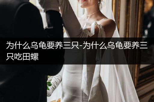 為什么烏龜要養(yǎng)三只-為什么烏龜要養(yǎng)三只吃田螺