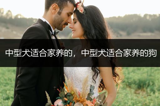 中型犬適合家養(yǎng)的，中型犬適合家養(yǎng)的狗