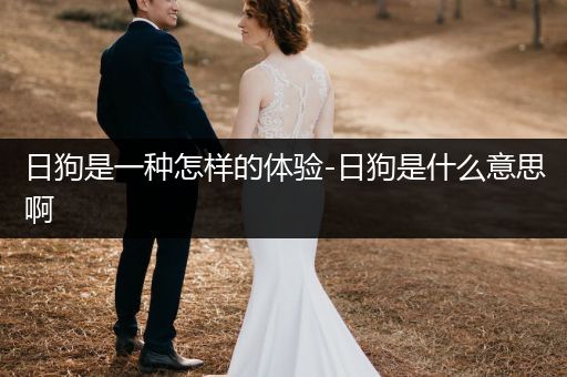 日狗是一種怎樣的體驗(yàn)-日狗是什么意思啊