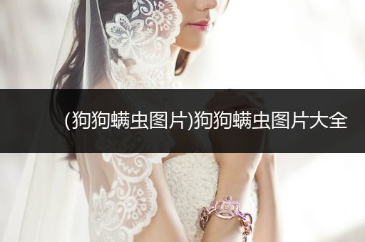 （狗狗螨蟲(chóng)圖片)狗狗螨蟲(chóng)圖片大全