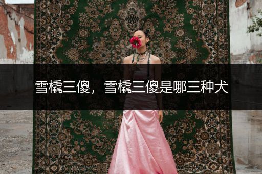 雪橇三傻，雪橇三傻是哪三種犬