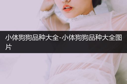 小體狗狗品種大全-小體狗狗品種大全圖片