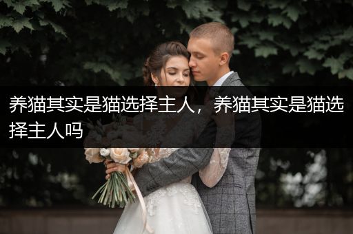 養(yǎng)貓其實(shí)是貓選擇主人,養(yǎng)貓其實(shí)是貓選擇主人嗎