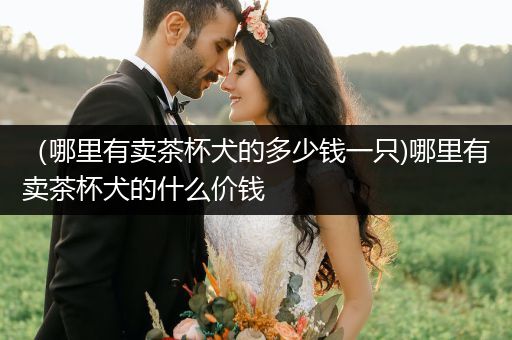 （哪里有賣茶杯犬的多少錢一只)哪里有賣茶杯犬的什么價(jià)錢