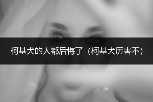 柯基犬的人都后悔了（柯基犬厲害不）