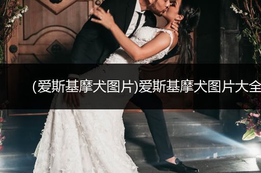 (愛斯基摩犬圖片)愛斯基摩犬圖片大全