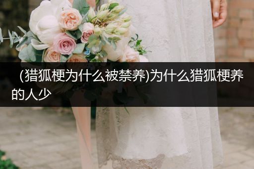 (獵狐梗為什么被禁養(yǎng))為什么獵狐梗養(yǎng)的人少