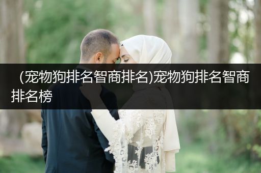 （寵物狗排名智商排名)寵物狗排名智商排名榜
