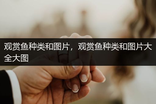 觀賞魚種類和圖片，觀賞魚種類和圖片大全大圖