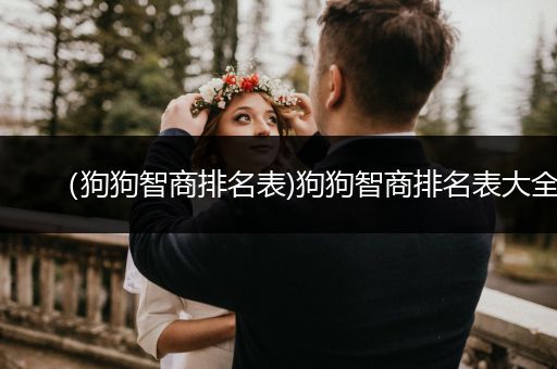 （狗狗智商排名表)狗狗智商排名表大全