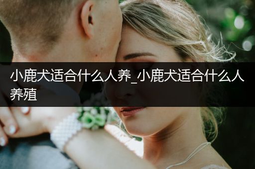 小鹿犬適合什么人養(yǎng)_小鹿犬適合什么人養(yǎng)殖