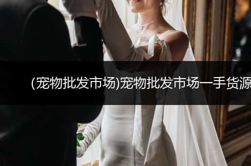 (寵物批發(fā)市場(chǎng))寵物批發(fā)市場(chǎng)一手貨源