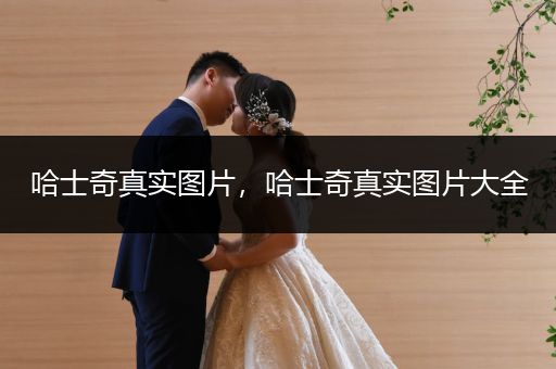 哈士奇真實(shí)圖片,哈士奇真實(shí)圖片大全