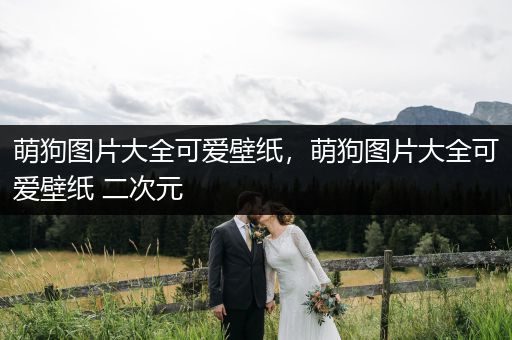 萌狗圖片大全可愛壁紙,萌狗圖片大全可愛壁紙 二次元