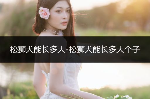 松獅犬能長(zhǎng)多大-松獅犬能長(zhǎng)多大個(gè)子