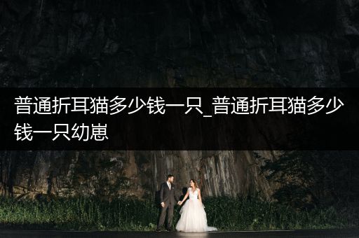 普通折耳貓多少錢(qián)一只_普通折耳貓多少錢(qián)一只幼崽