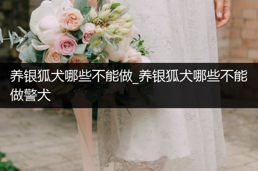 養(yǎng)銀狐犬哪些不能做_養(yǎng)銀狐犬哪些不能做警犬