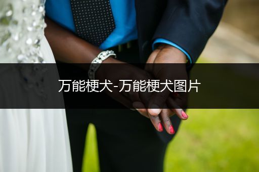 萬(wàn)能梗犬-萬(wàn)能梗犬圖片