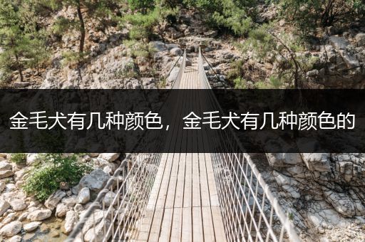 金毛犬有幾種顏色，金毛犬有幾種顏色的