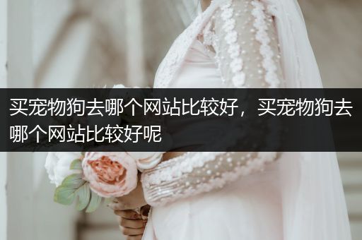 買寵物狗去哪個網(wǎng)站比較好，買寵物狗去哪個網(wǎng)站比較好呢