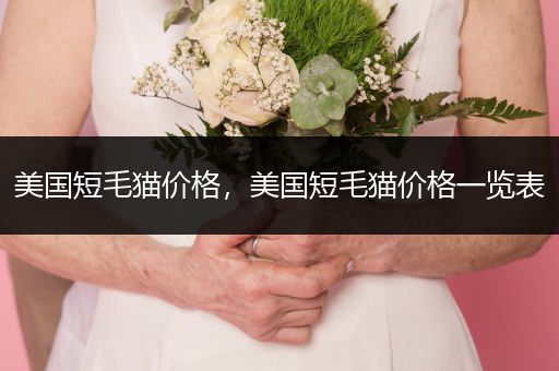 美國短毛貓價(jià)格，美國短毛貓價(jià)格一覽表