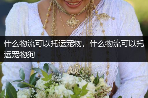 什么物流可以托運(yùn)寵物，什么物流可以托運(yùn)寵物狗