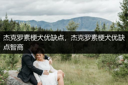 杰克羅素梗犬優(yōu)缺點,杰克羅素梗犬優(yōu)缺點智商