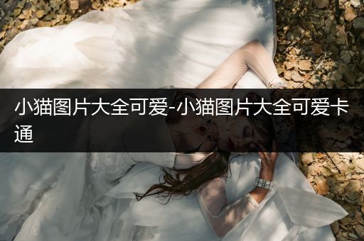 小貓圖片大全可愛(ài)-小貓圖片大全可愛(ài)卡通