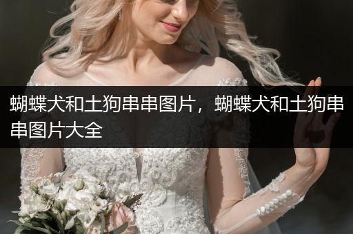 蝴蝶犬和土狗串串圖片，蝴蝶犬和土狗串串圖片大全