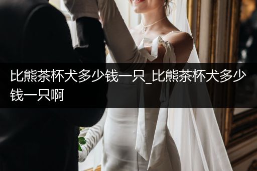 比熊茶杯犬多少錢一只_比熊茶杯犬多少錢一只啊