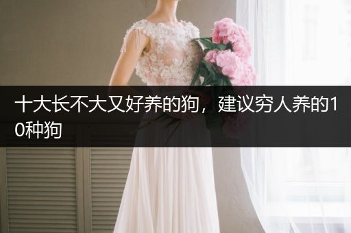 十大長(zhǎng)不大又好養(yǎng)的狗，建議窮人養(yǎng)的10種狗