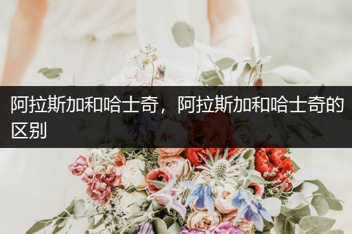 阿拉斯加和哈士奇，阿拉斯加和哈士奇的區(qū)別