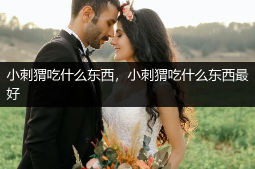 小刺猬吃什么東西，小刺猬吃什么東西最好