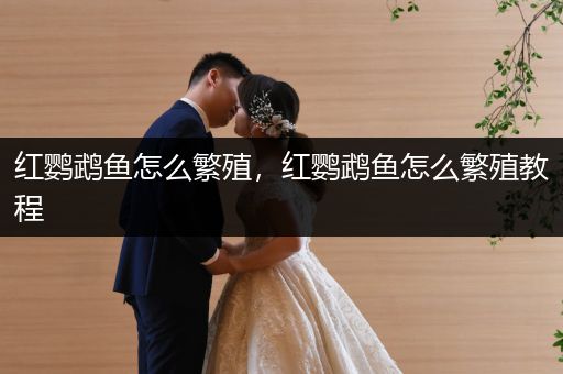 紅鸚鵡魚怎么繁殖，紅鸚鵡魚怎么繁殖教程
