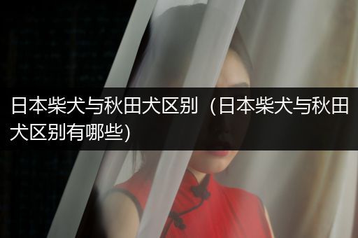 日本柴犬與秋田犬區(qū)別（日本柴犬與秋田犬區(qū)別有哪些）