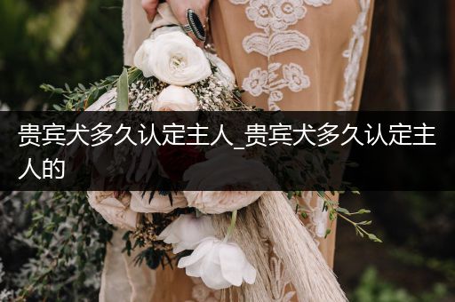 貴賓犬多久認(rèn)定主人_貴賓犬多久認(rèn)定主人的