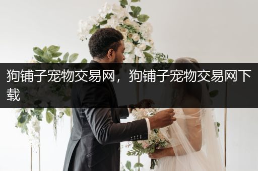 狗鋪?zhàn)訉櫸锝灰拙W(wǎng)，狗鋪?zhàn)訉櫸锝灰拙W(wǎng)下載