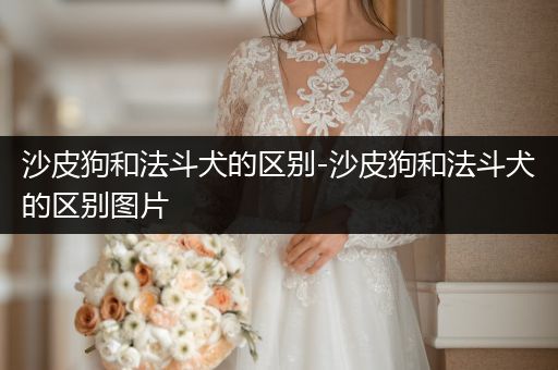 沙皮狗和法斗犬的區(qū)別-沙皮狗和法斗犬的區(qū)別圖片