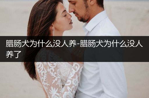 臘腸犬為什么沒(méi)人養(yǎng)-臘腸犬為什么沒(méi)人養(yǎng)了