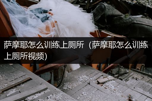 薩摩耶怎么訓(xùn)練上廁所(薩摩耶怎么訓(xùn)練上廁所視頻)