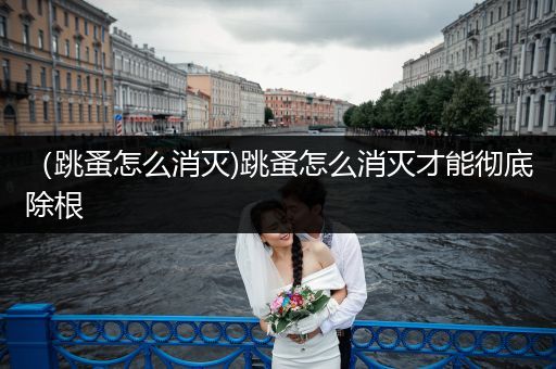 （跳蚤怎么消滅)跳蚤怎么消滅才能徹底除根