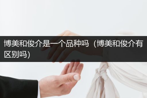 博美和俊介是一個品種嗎（博美和俊介有區(qū)別嗎）