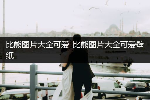 比熊圖片大全可愛-比熊圖片大全可愛壁紙